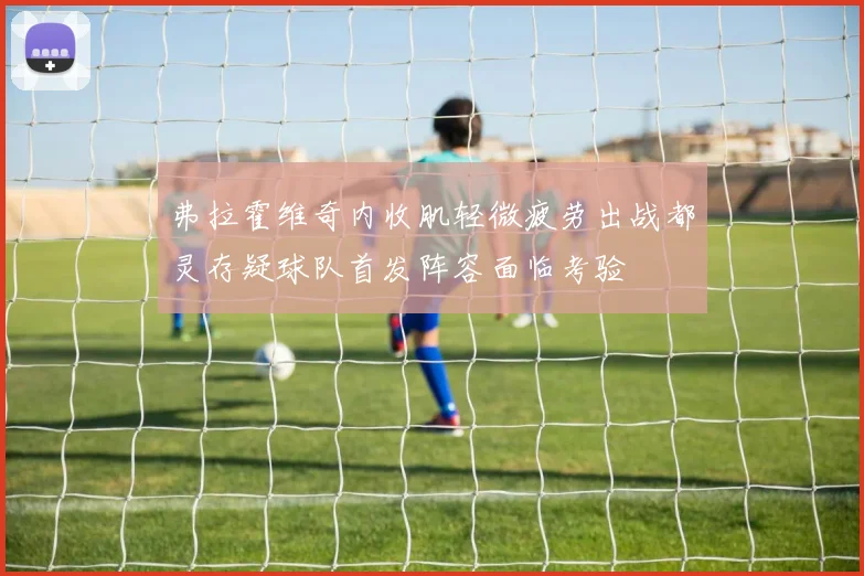 弗拉霍维奇内收肌轻微疲劳出战都灵存疑球队首发阵容面临考验